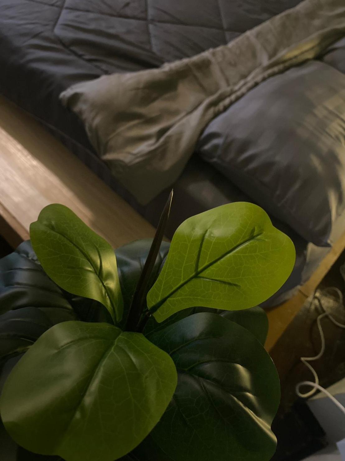 Rhythm Of Life Guesthouse 56 Бангкок Екстер'єр фото